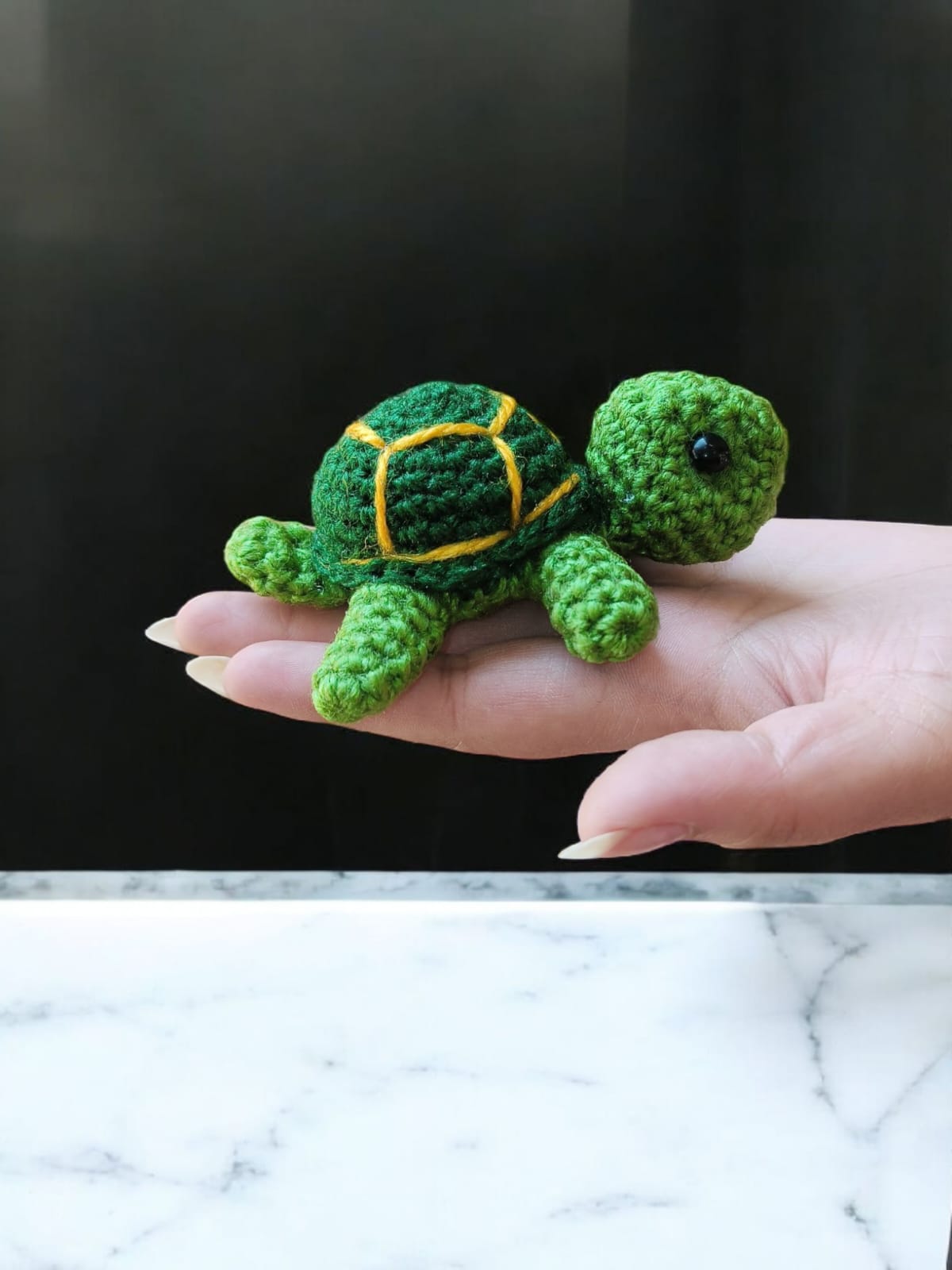 Turtle - Green - Image 2