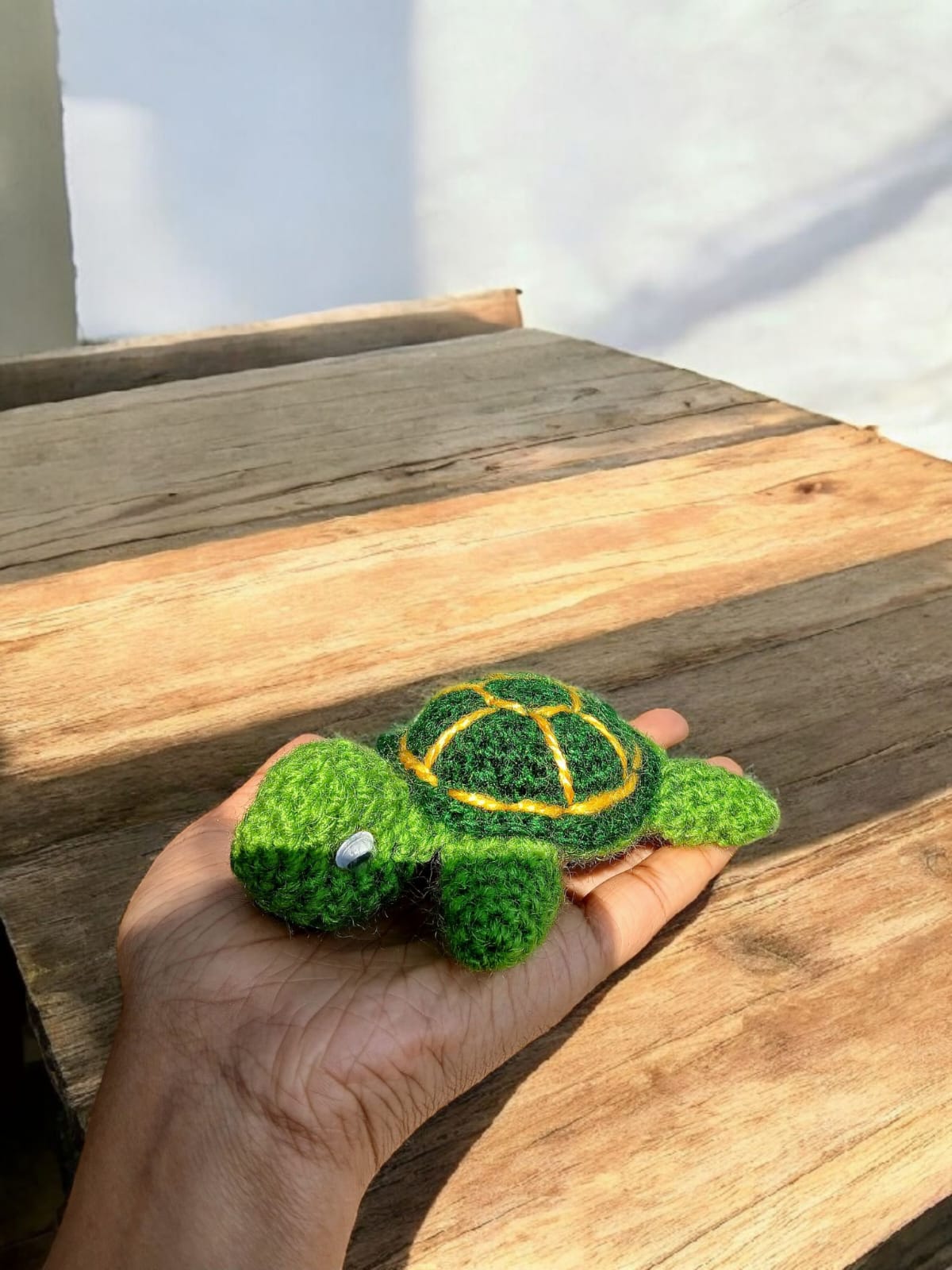 Turtle - Green - Image 3